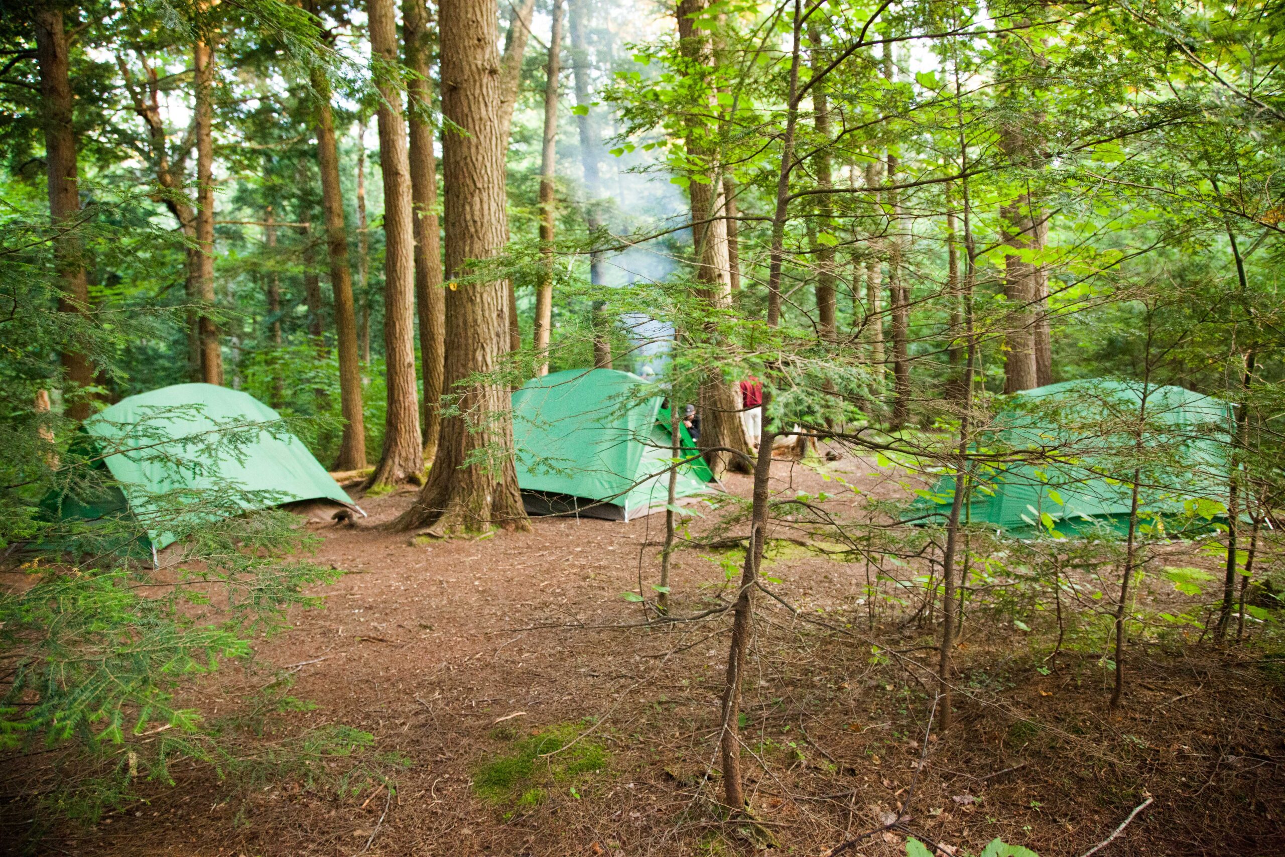 A La Vida group camping in the woods.